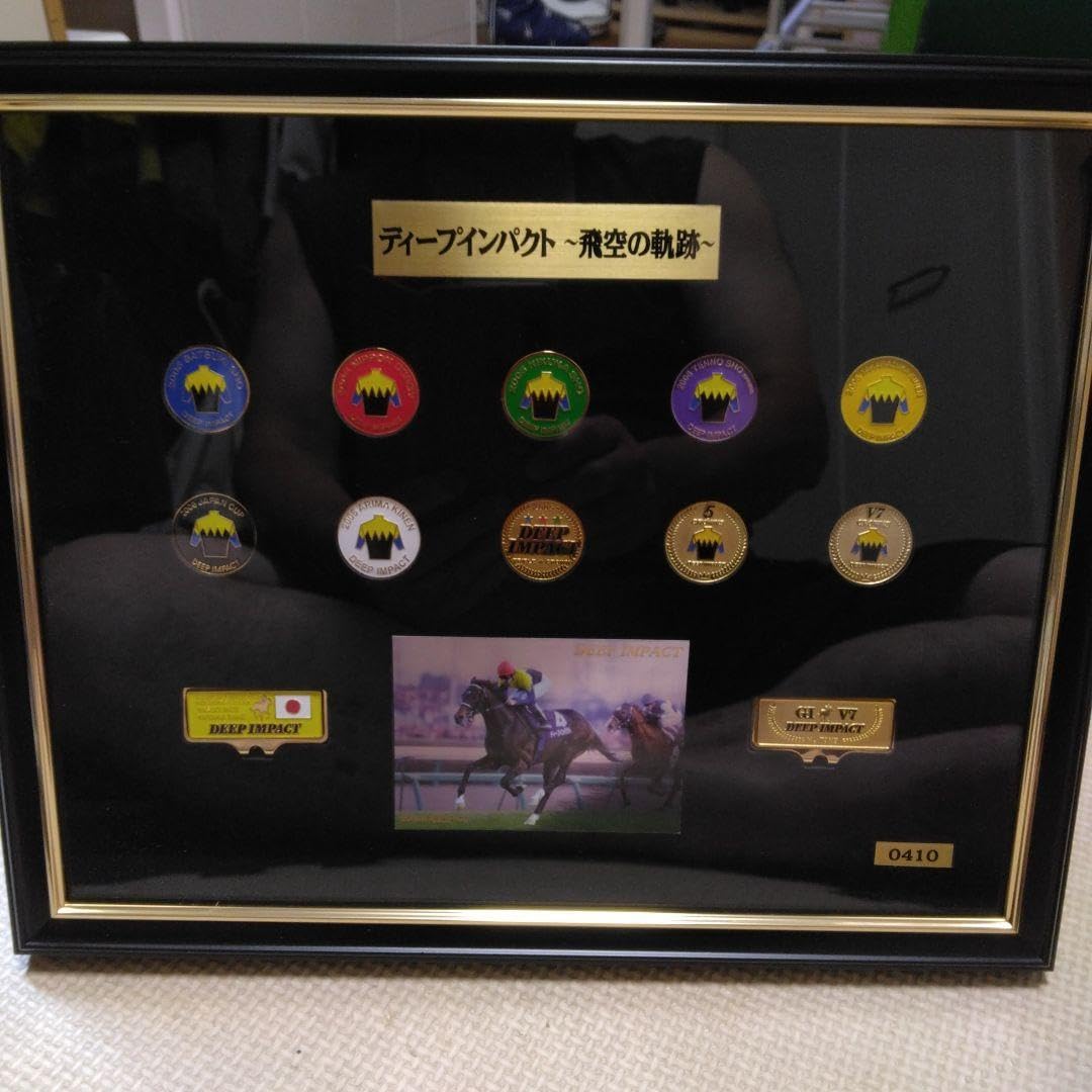 ディープインパクト - 飛空の軌跡 【公式通販】